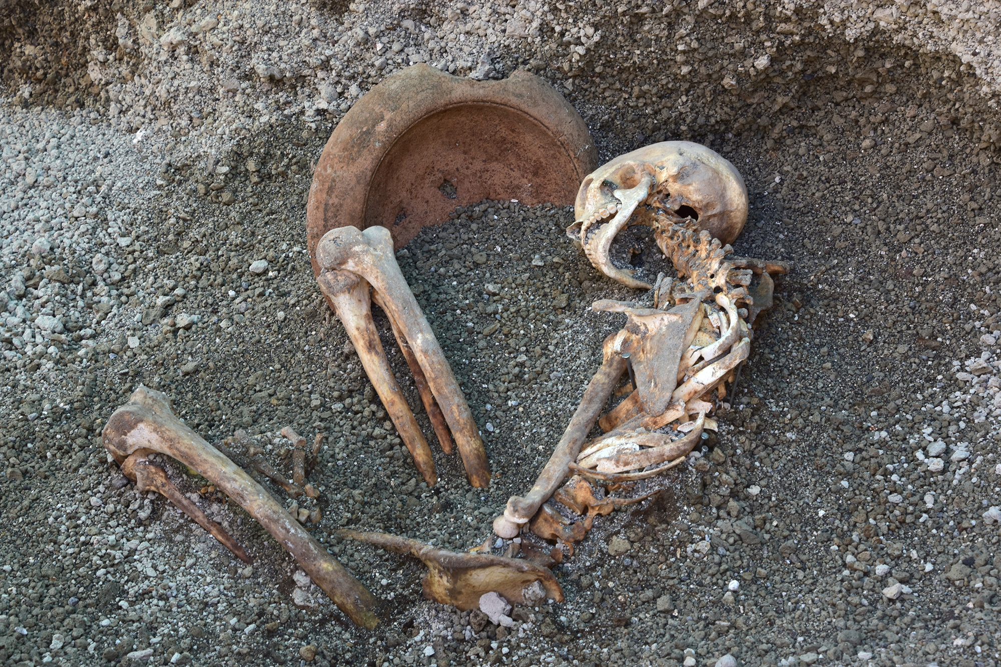 Skeleton of man who died at Pompeii